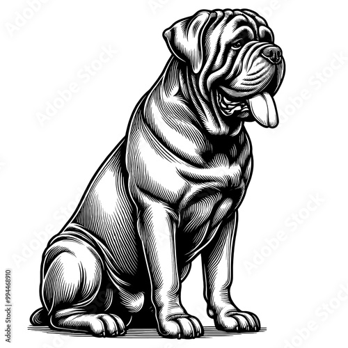 Neapolitan Mastiff in full-body, hand drawn sketch. Vector isolated on white background	