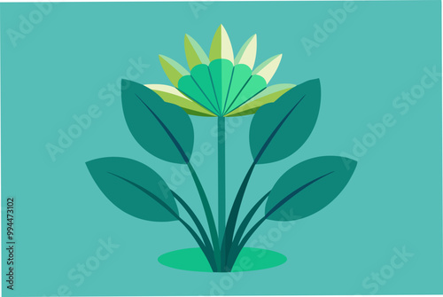 Water Fanwort plant vector art illustration  photo