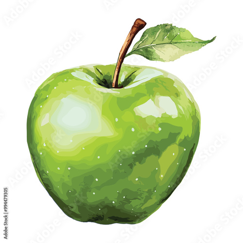 green apple watercolor illustration vector isolated on white background