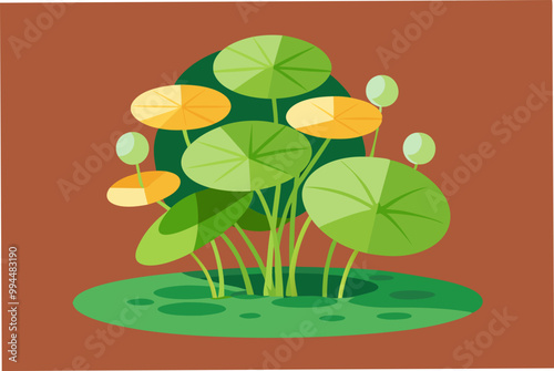  Water Frogbit plant vector art illustration photo