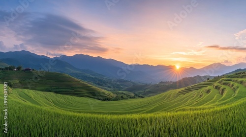 Stunning sunrise over terraced rice fields in a mountainous landscape during early morning hours