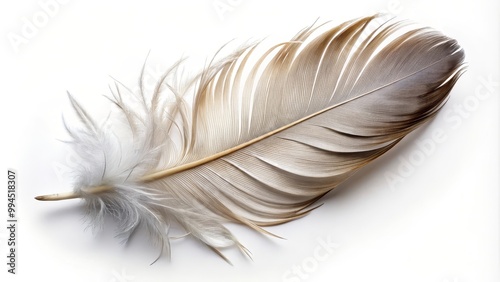 Single grey feather is lying on a white background, creating a delicate and minimalist composition