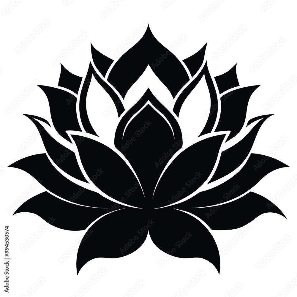A black and white drawing of a lotus flower
A black and white drawing of a lotus flower