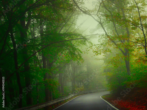 Creepy mysterious green foggy forest during autumn day with asphalt road and green foliage