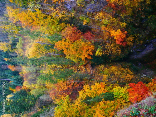 Colorful forest during autumn day in Macocha cave with colorful foliage