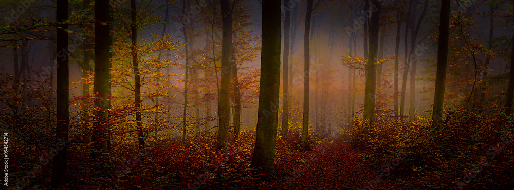 Creepy mysterious foggy forest during autumn day with colorful foliage Creepy mysterious foggy forest during autumn day with colorful foliage