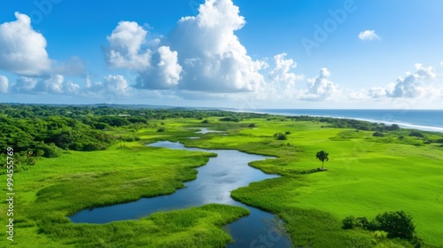 Serene Coastal Landscape with Lush Greenery and Water