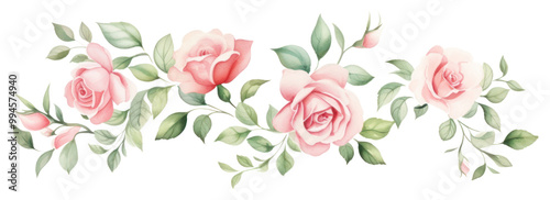 PNG Roses pattern flower plant.