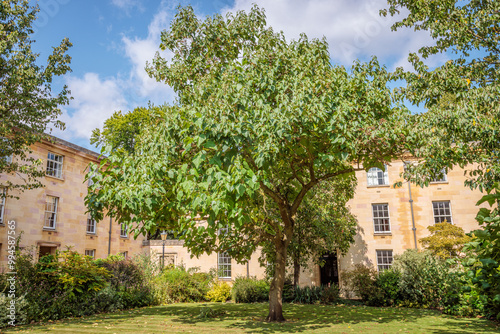 Wallpaper Mural Cambridge, United Kingdom - August 23 2024 "Lovely architecture of Cambridge during the morning" Torontodigital.ca