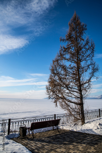 There is a bench sitting in the snow with a tree in the background