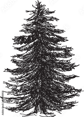 Hand-drawn tree illustration showcasing intricate branch details and natural textures