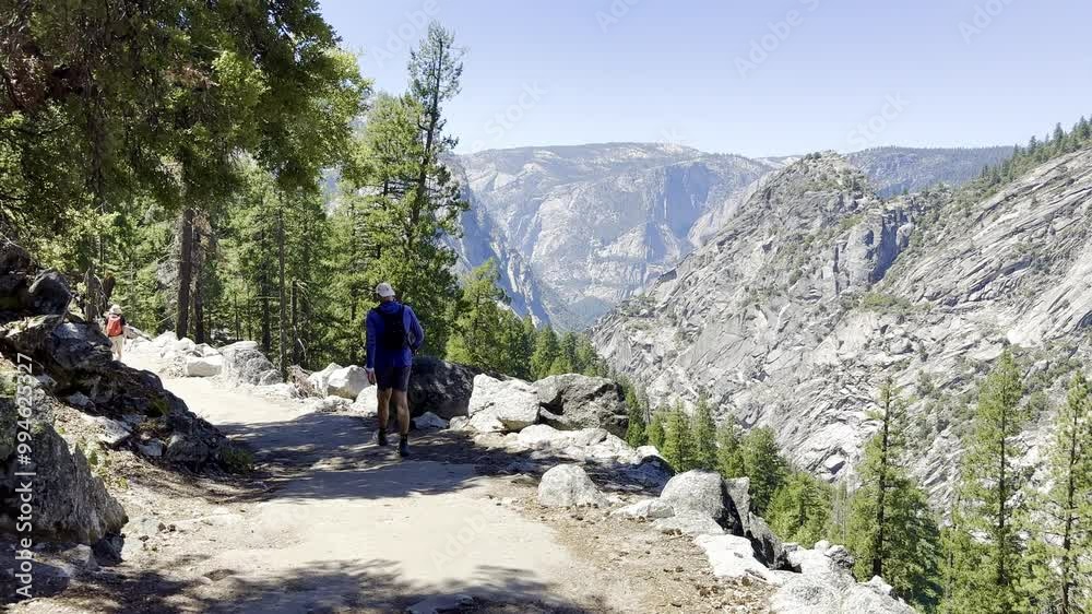 Friends hiking on a trail in the forest, girls and a guy walking with backpacks uphill, hiking, active recreation walking in the forest on a sunny day, yosemite park, tourism in the national park Friends hiking on a trail in the forest, girls and a guy walking with backpacks uphill, hiking, active recreation walking in the forest on a sunny day, yosemite park, tourism in the national park