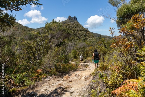 Hikers on The Pinnacles bush walk hiking trail in the Kauaeranga Valley, Coromandel Peninsula, Waikato, New Zealand. photo