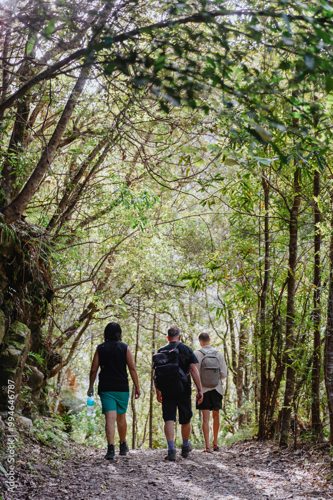 Men hiking The Pinnacles bush walk hiking trail in the Kauaeranga Valley, Coromandel Peninsula, Waikato, New Zealand. Men hiking The Pinnacles bush walk hiking trail in the Kauaeranga Valley, Coromandel Peninsula, Waikato, New Zealand.