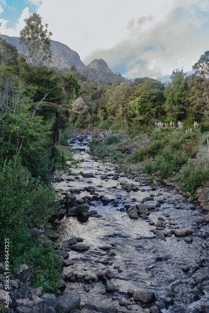 Kauaeranga River in the Kauaeranga Valley as the base of The Pinnacles hike, Coromandel Peninsula, Waikato, New Zealand. Kauaeranga River in the Kauaeranga Valley as the base of The Pinnacles hike, Coromandel Peninsula, Waikato, New Zealand.