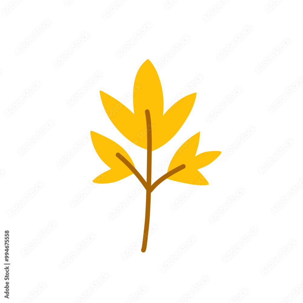 autumn forest leaf autumn forest leaf