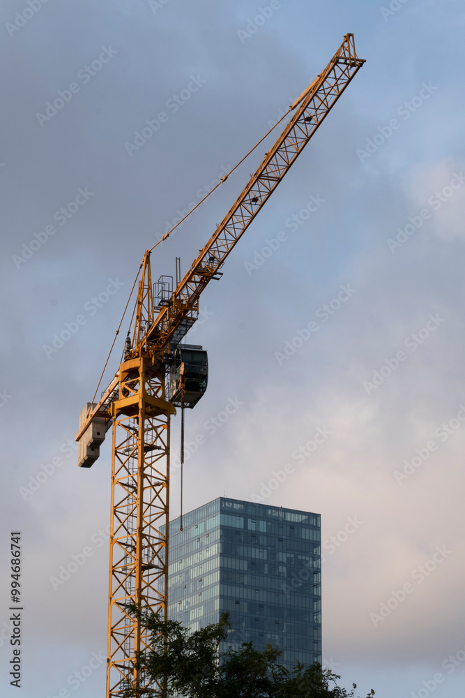 Naklejka premium Crane looking up into the sky