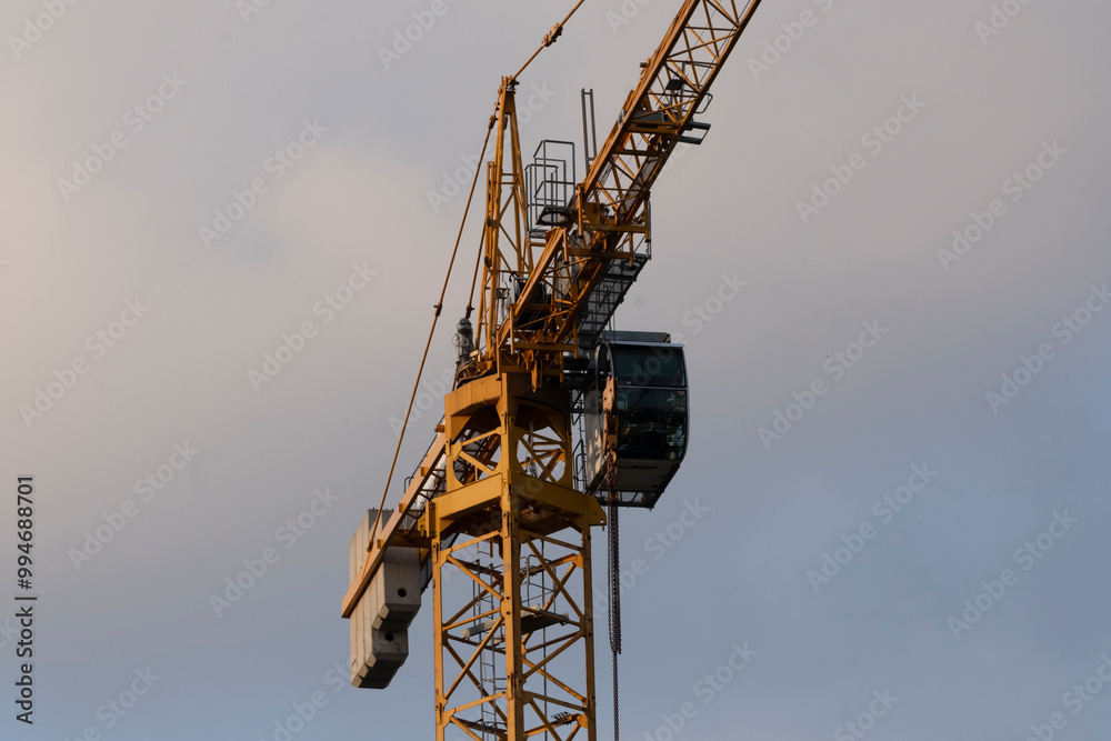 Naklejka premium Crane looking up into the sky