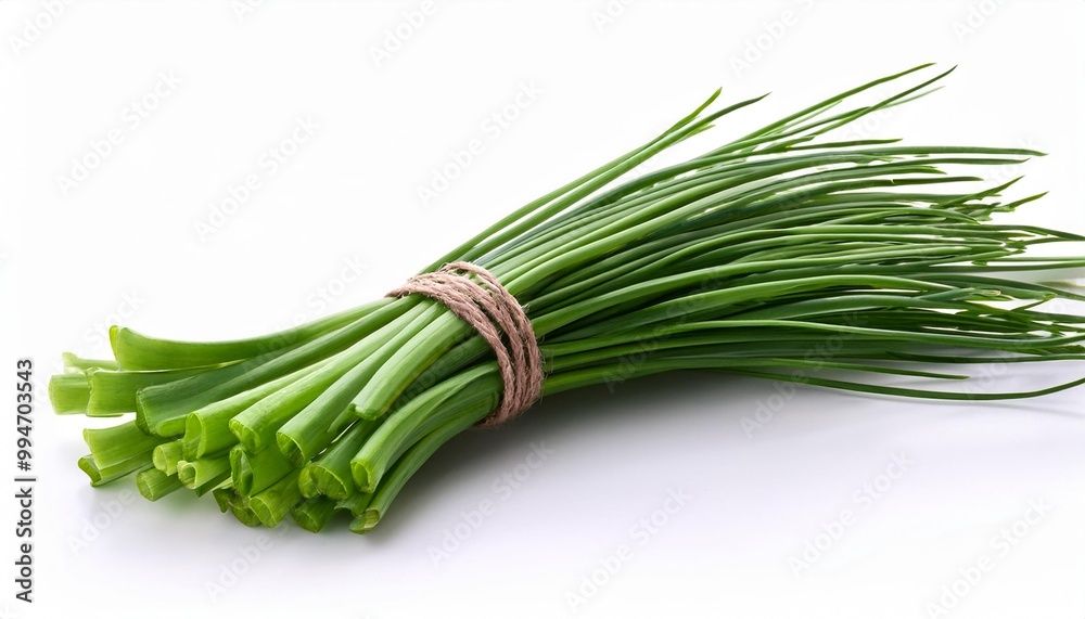 Fresh Green Chives Bunch Isolated on White Background Fresh Green Chives Bunch Isolated on White Background