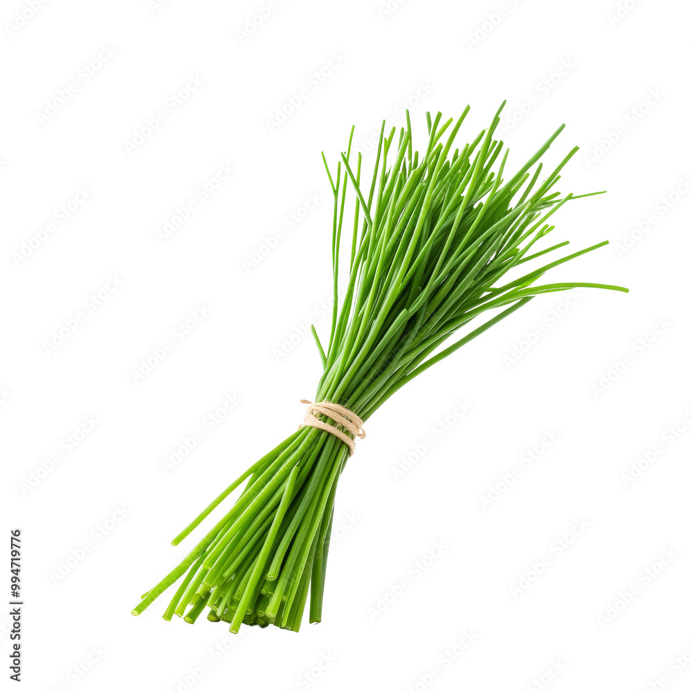 Fresh Green Chives Fresh Green Chives