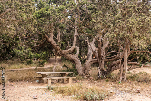 Rest area near Jabal Sawda mountain, Saudi Arabia photo