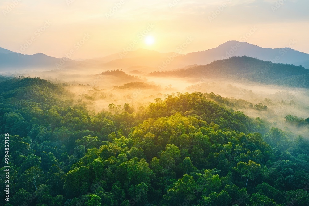 Aerial top view forest tree, Rainforest ecosystem and healthy environment concept background, generative ai Aerial top view forest tree, Rainforest ecosystem and healthy environment concept background, generative ai