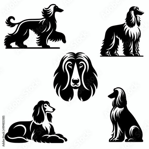 Set of afghan hound vector silhouette illustration art, dog breed clip art design element collection photo