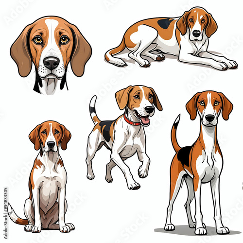 American foxhound dog cartoon illustration collection set, dog breed clip art element design sticker  photo