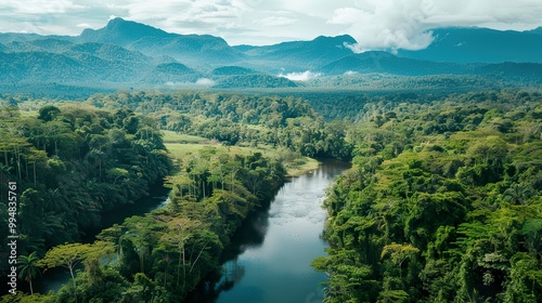 Aerial_view_of_river_in_tropical_green_forest_with