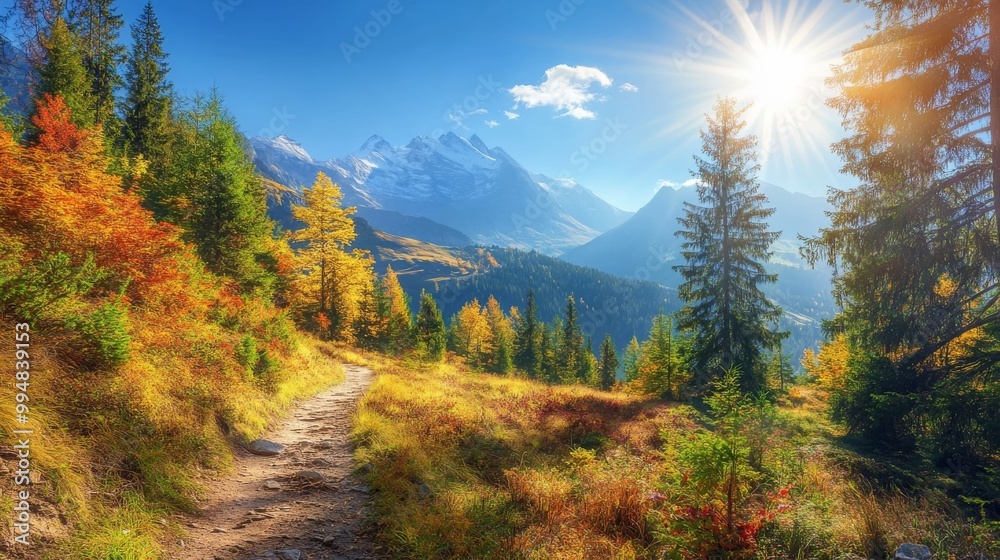 Fototapeta premium Scenic autumn in the Alps.