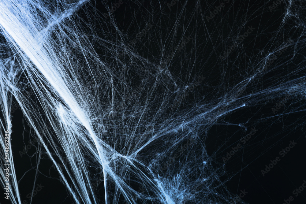 Cobweb against black background, toned in gradient blue color Cobweb against black background, toned in gradient blue color