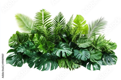 Green leaves of tropical plants bush (Monstera, palm, rubber plant, pine, birdâ€™s nest fern) floral arrangement indoors garden nature backdrop isolated on white background thailand, generative ai