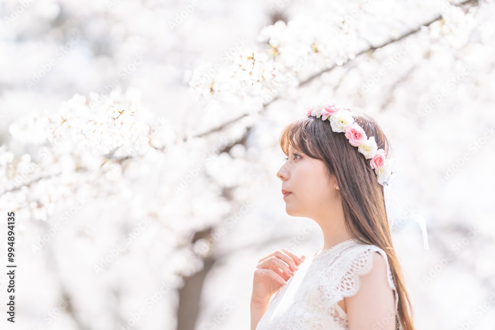 春の桜と横顔の女性