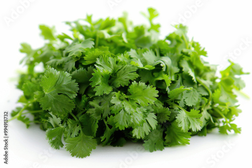 fresh coriander isolated on white background