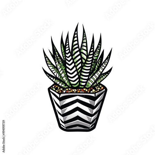 A haworthia succulent with its spiky zebra stripe leaves in a white pot with black chevron pattern.