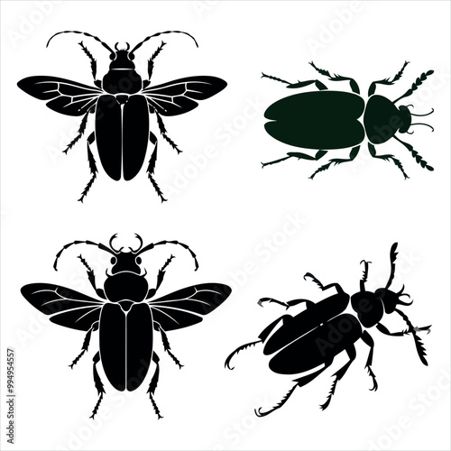 set of beetle