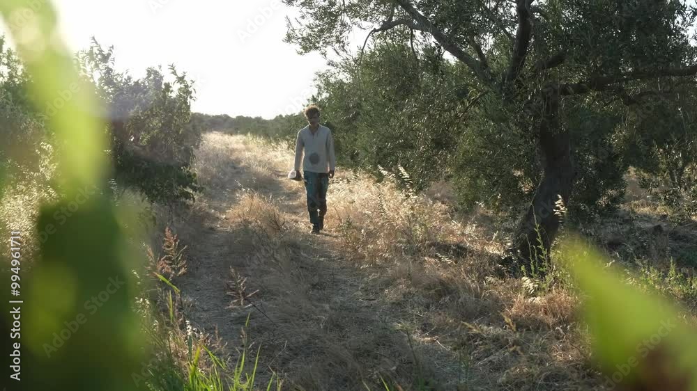 A Middle Eastern man in his 40s walks through an olive grove holding a kopuz, capturing the serenity and connection to nature as the sunlight filters through the trees A Middle Eastern man in his 40s walks through an olive grove holding a kopuz, capturing the serenity and connection to nature as the sunlight filters through the trees