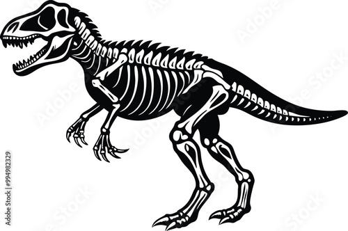 Tyrannosaurus rex skeleton silhouette Vector Illustration on white background