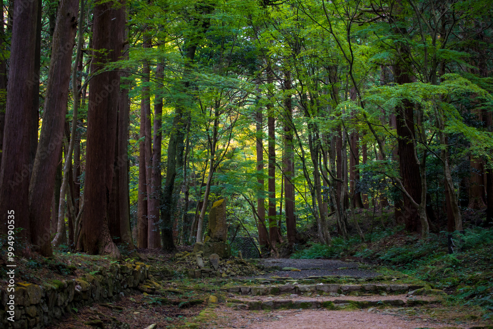 Obraz premium Autumn at the ancient temple in Shiga Prefecture, Japan