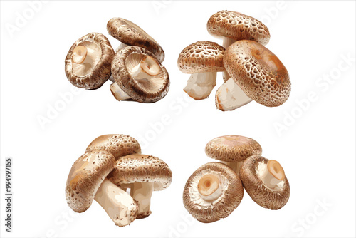Champignon mushrooms fungus food white background.