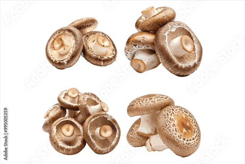 Champignon mushrooms fungus food white background.
