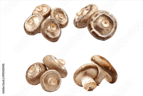 Champignon mushrooms fungus food white background.