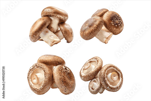Champignon mushrooms fungus food white background.