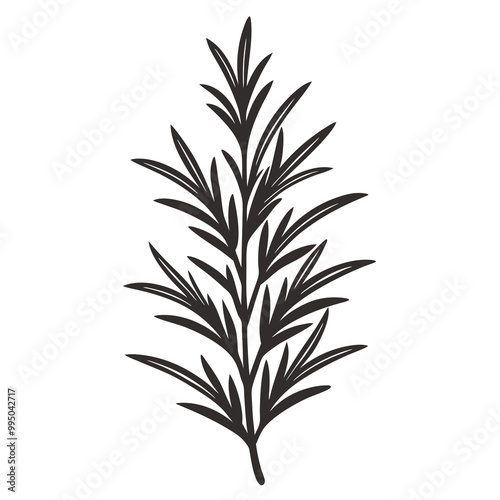 Rosemary icon Silhouette line art vector illustration

