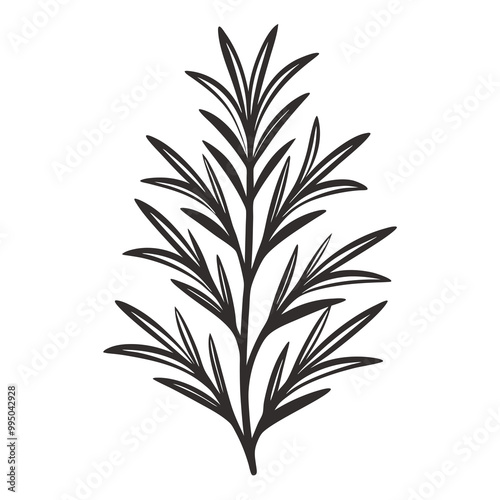 Rosemary icon Silhouette line art vector illustration 