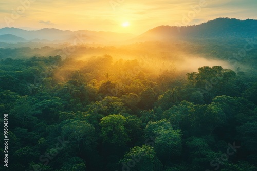 Aerial top view forest tree, Rainforest ecosystem and healthy environment concept background, Texture of green tree forest view from above, generative ai