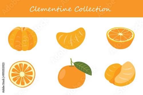 clementine collection in different poses. Vector illustration.