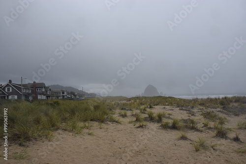 Cannon beach scene