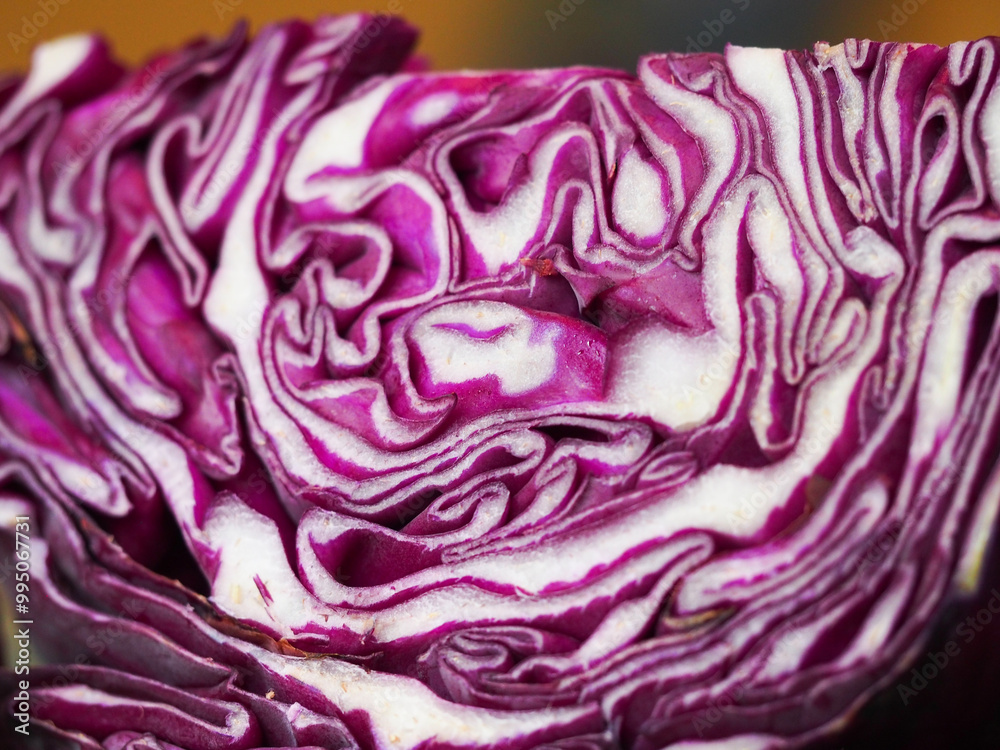 Cut of a red cabbage head Cut of a red cabbage head