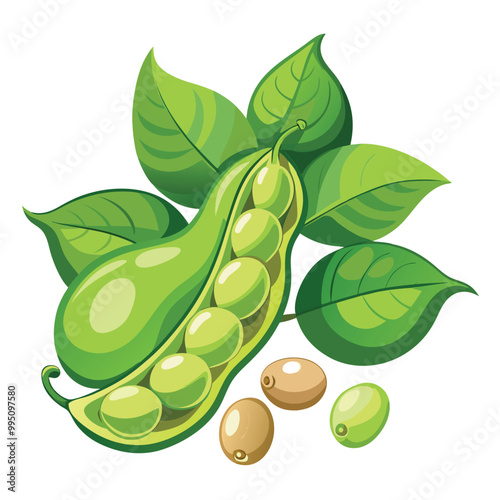 Soybean pods vector illustration isolated on a white background